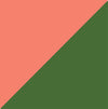 Cactus/Terra Cotta Swatch